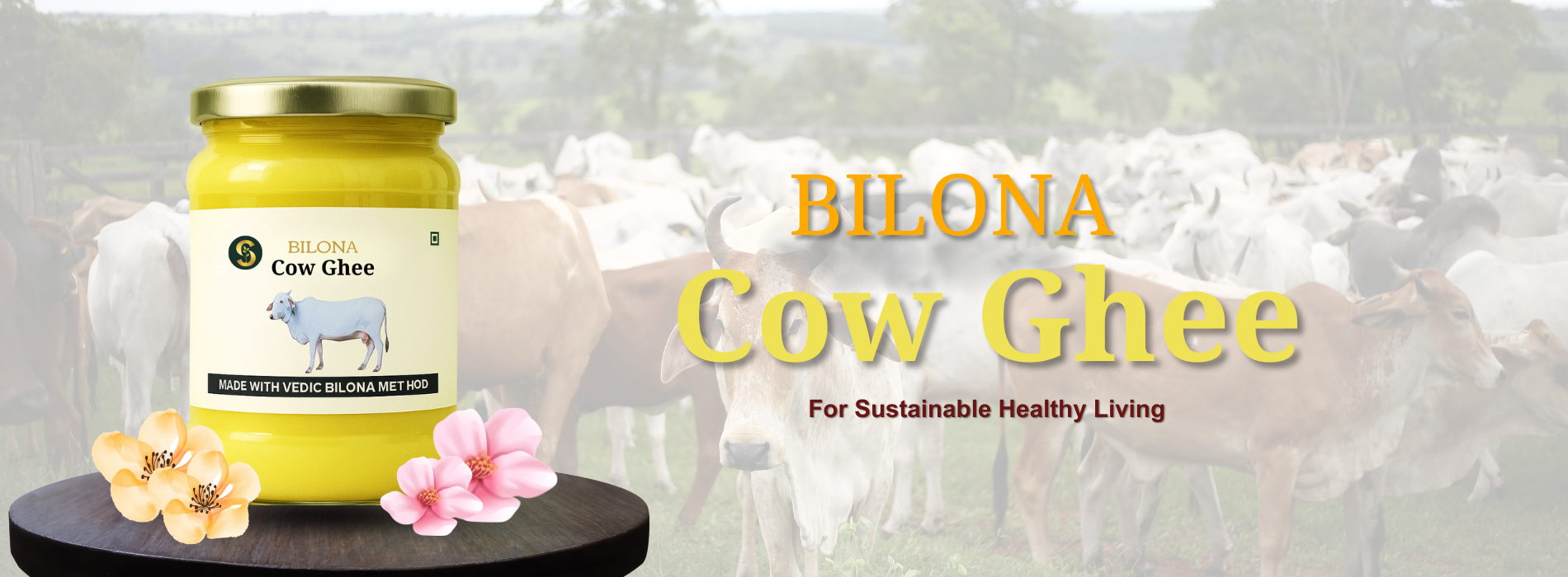 bilona cow ghee banner bilona cow ghee banner